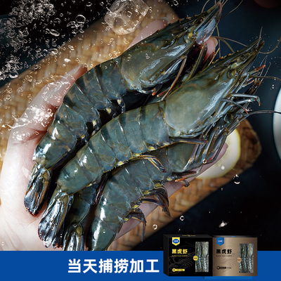 黑虎虾（国产）