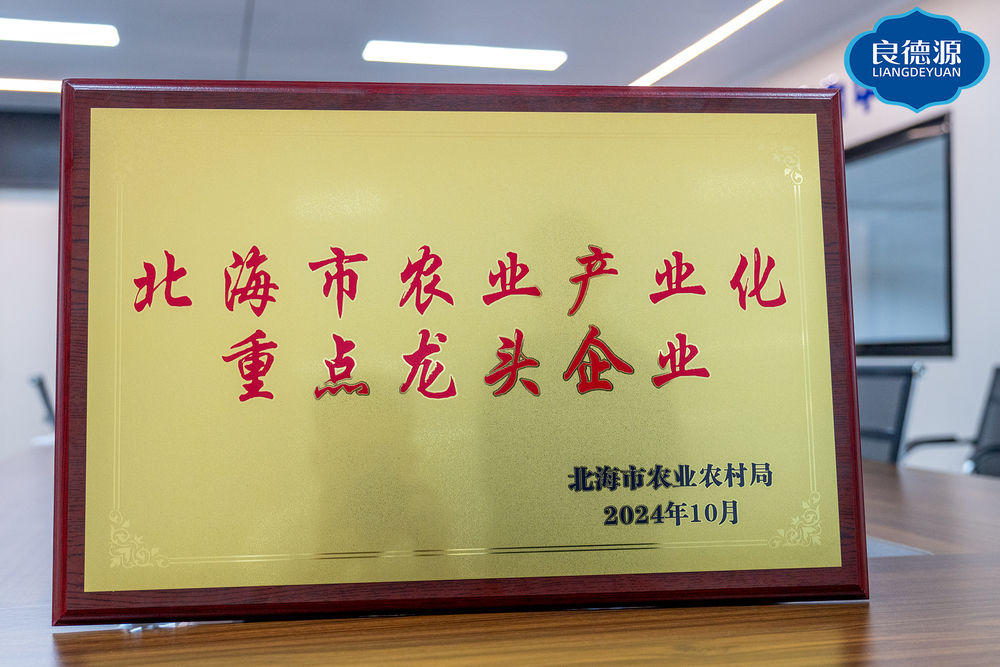 DSC03027.jpg